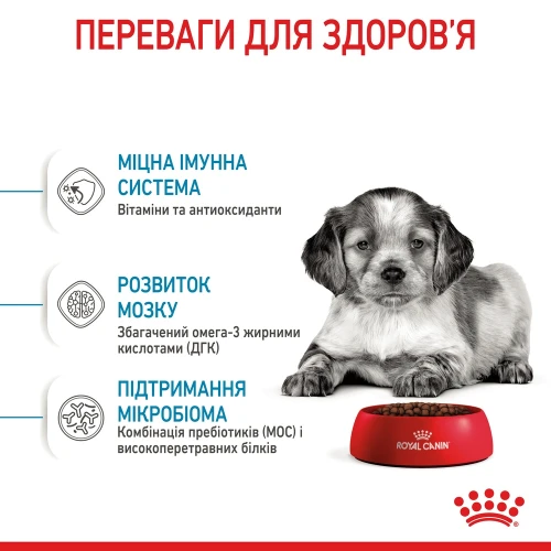 Сухий корм Royal Canin Medium Puppy для цуценят середніх порід до 12 місяців, 4 кг