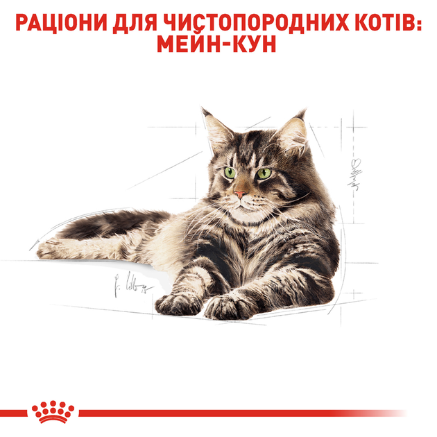 Роял Канін пауч 85г д/кота Меінкун едалт 12шт/уп 1шт