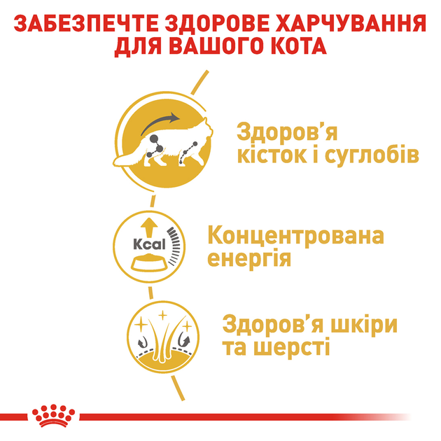Роял Канін пауч 85г д/кота Меінкун едалт 12шт/уп 1шт
