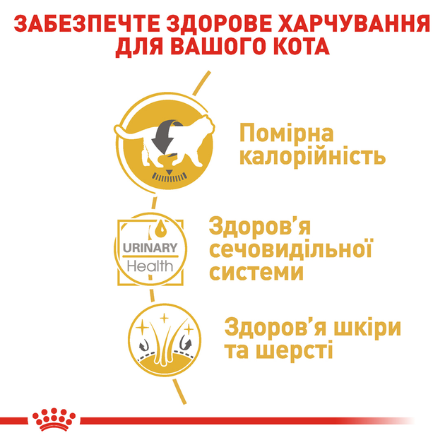 Роял Канін пауч 85г д/кота Британець едалт 12шт/уп 1шт