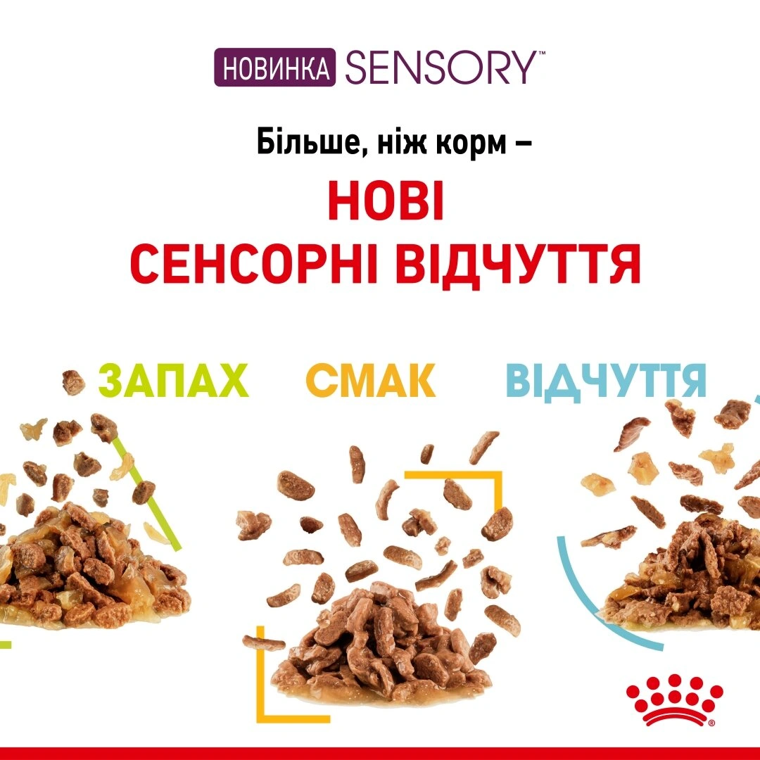 Роял Канін пауч 85г д/кота SENSORY FEEL GRAVY 12шт/уп 1шт
