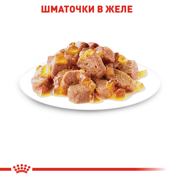 Роял Канін пауч 85г д/кота Інстенктив в желе 12шт/уп 1шт