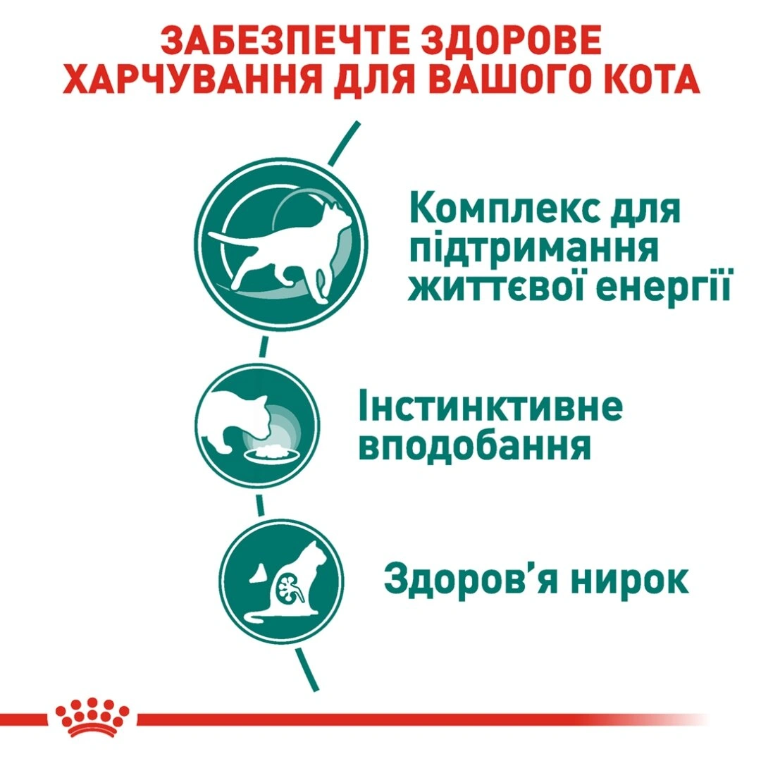 Роял Канін пауч 85г д/кота + 7 років соус 12шт/уп 1шт