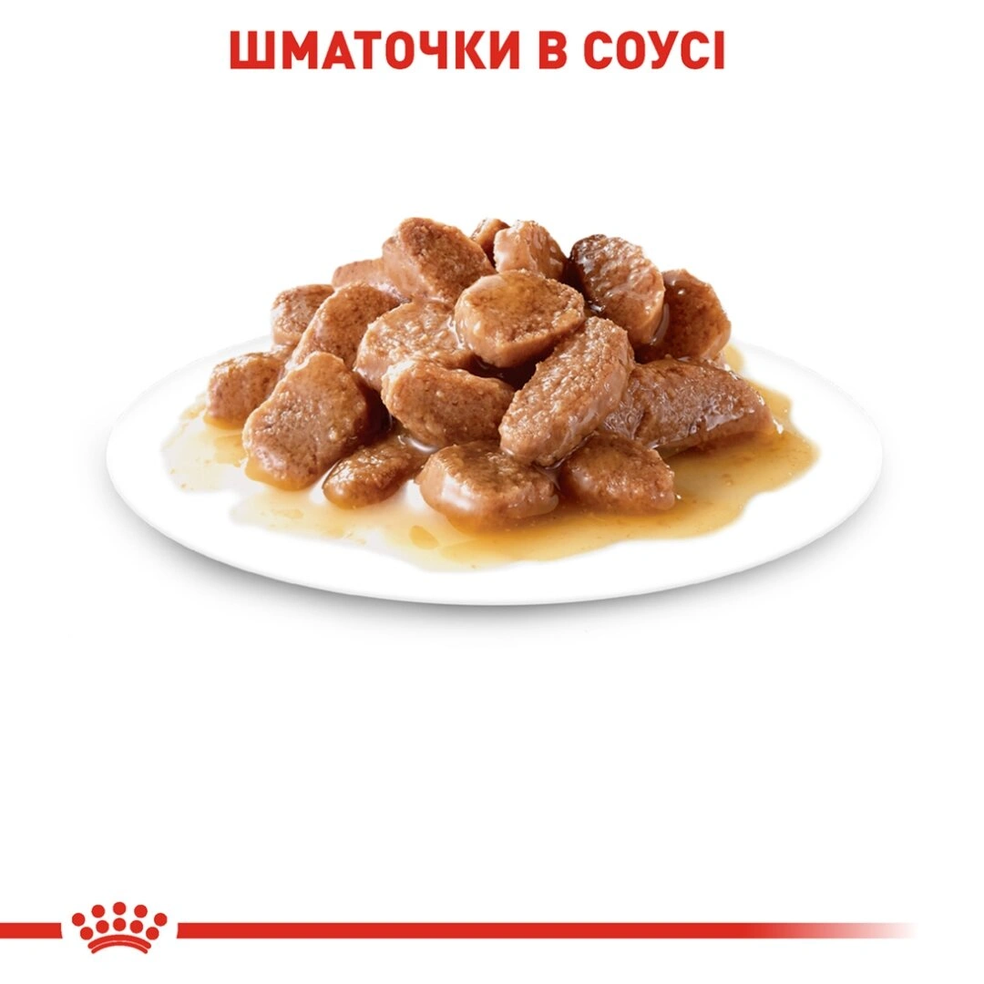 Роял Канін пауч 85г д/кота + 7 років соус 12шт/уп 1шт