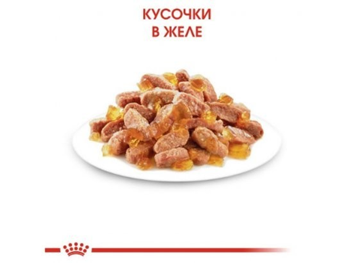 Роял Канін пауч 85г д/кошенят Кіттен желе 12шт/уп 1шт
