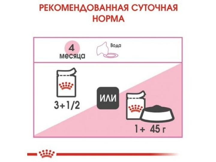 Роял Канін пауч 85г д/кошенят Кіттен желе 12шт/уп 1шт