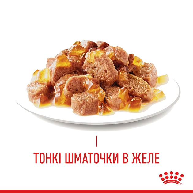 Роял Канін пауч 85г д/кота Кожа шерсть желе 12шт/уп 1шт