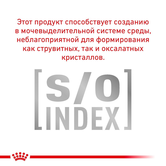 Роял Канін пауч 85г д/кота Діета Гастро Інтестинал соус 12шт/уп 1шт