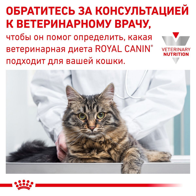 Роял Канін пауч 85г д/кота Діета Гастро Інтестинал соус 12шт/уп 1шт