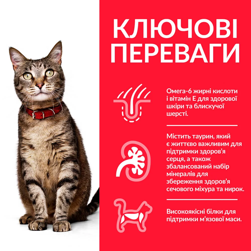 Хіллс 300г д/кота Ягня едалт