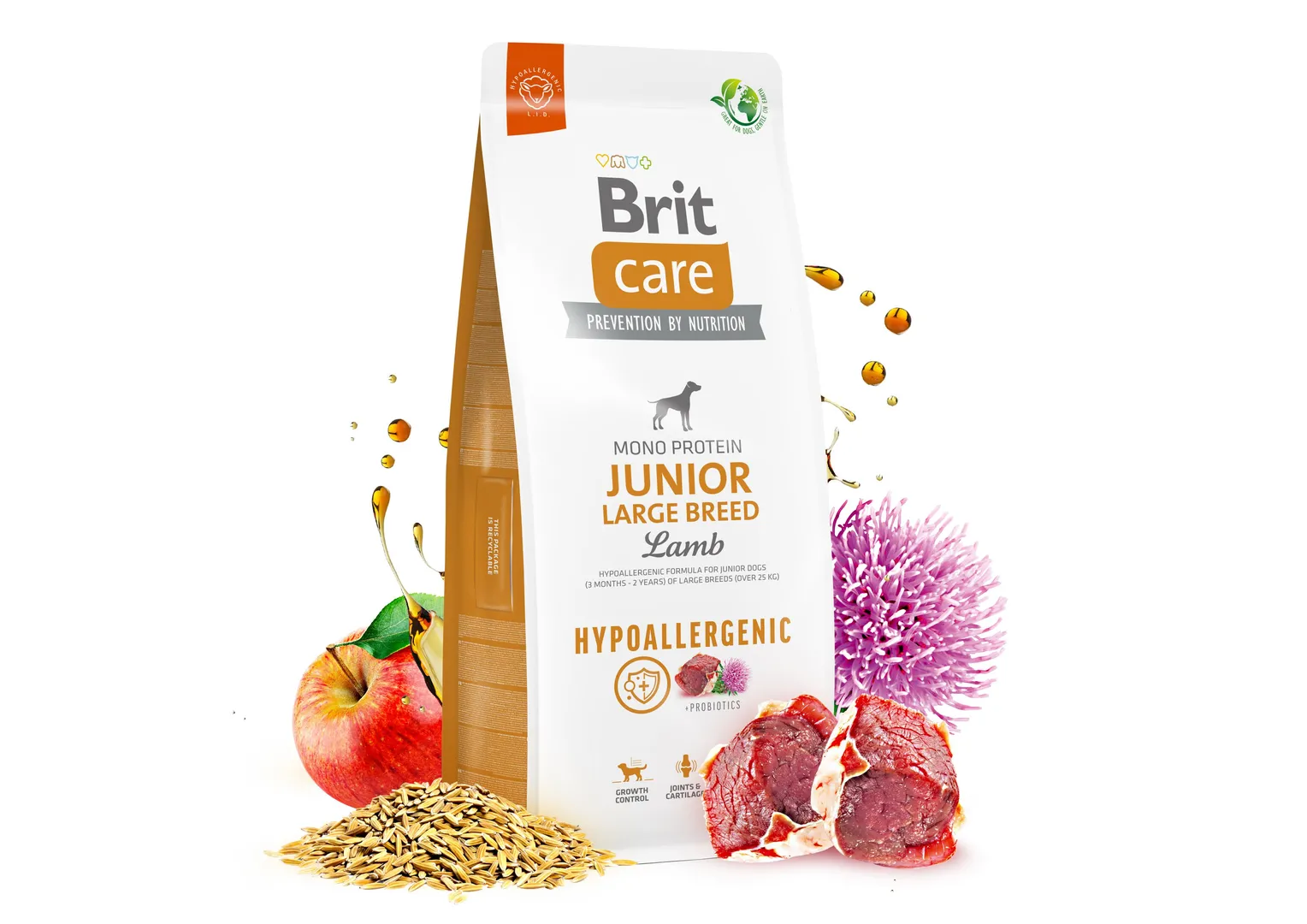 Brit Care Бріт 1кг д/цуценят вел. порід Ягня