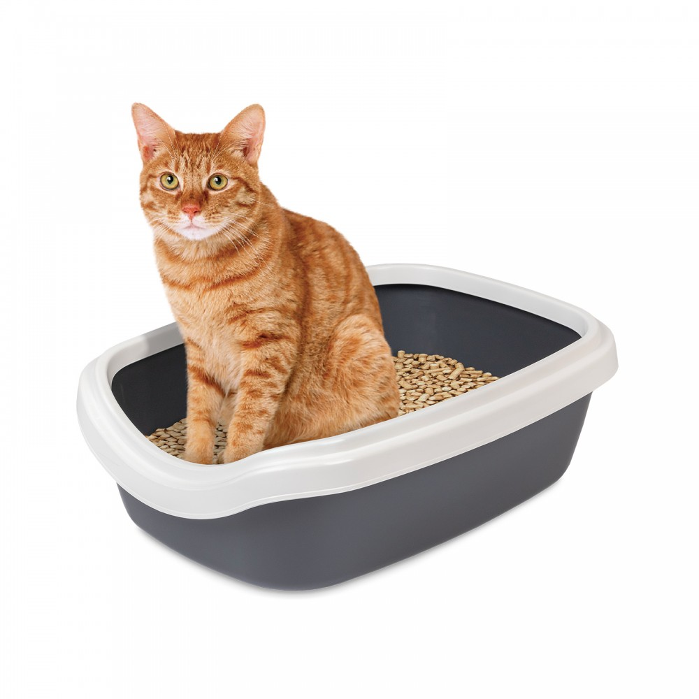 Туалет для котів Comfort M 41х30х13.5, сірий. Арт PR241699