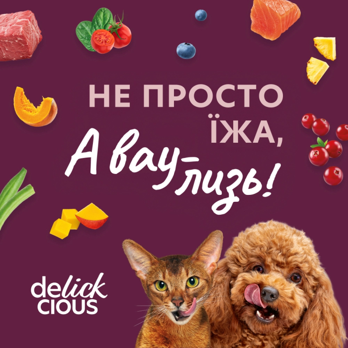 Delickcious Делюшен пауч 85г д/кота Качка та гарбуз в крем супі 12шт/уп 1шт