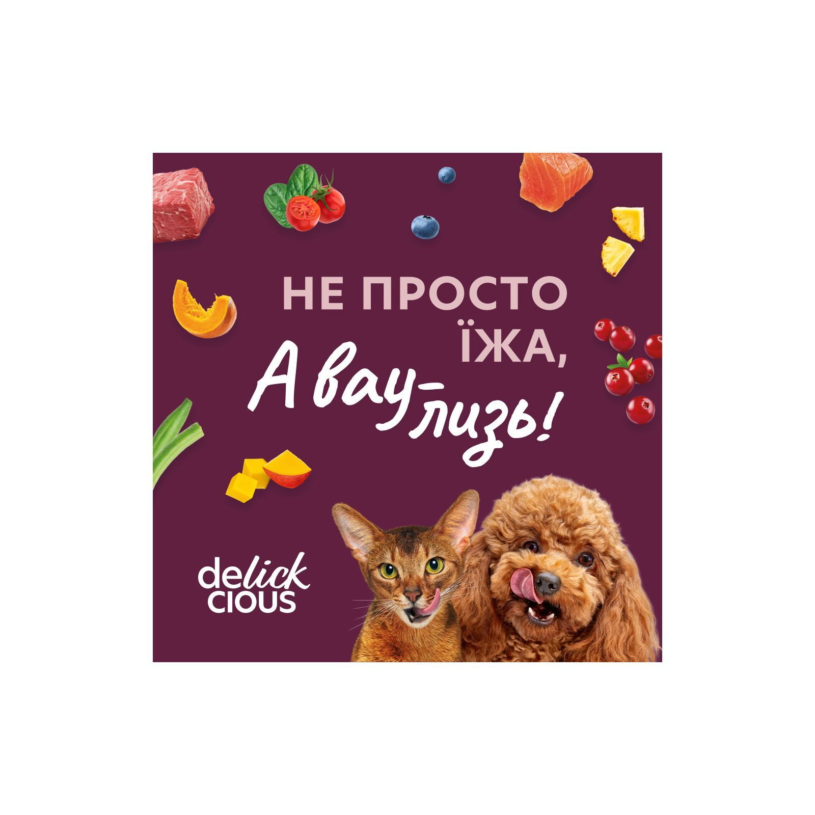 Delickcious Делюшен пауч 80г д/собак Кролик та тріч.фрукти в вершк.соусі  12шт/уп  1шт
